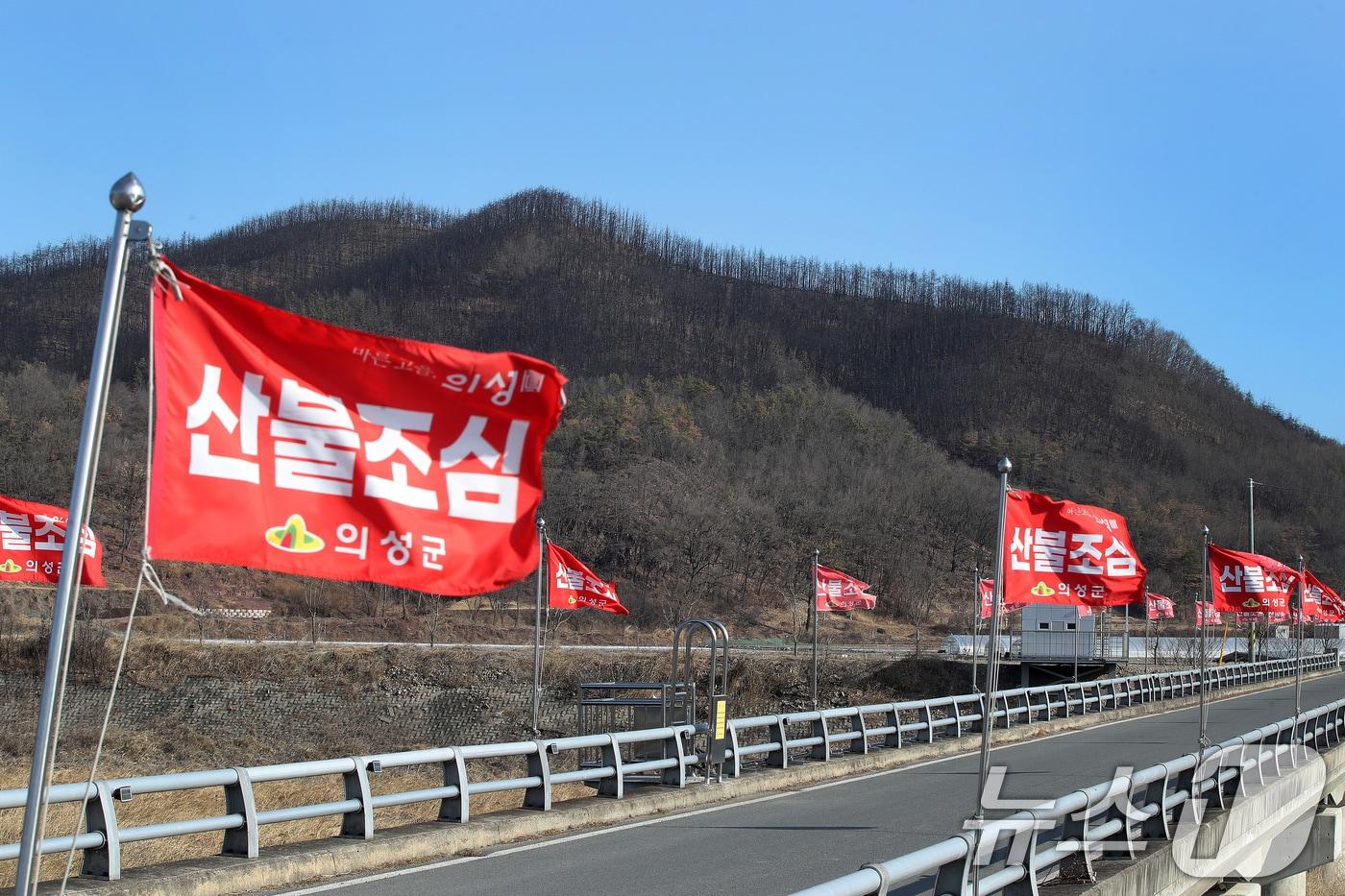 본문 이미지 - 차고 건조한 날씨가 이어진 29일 한 야산 앞에 산불조심 깃발이 바람에 나부끼고 있다. 2026.1.29 / ⓒ 뉴스1 공정식 기자