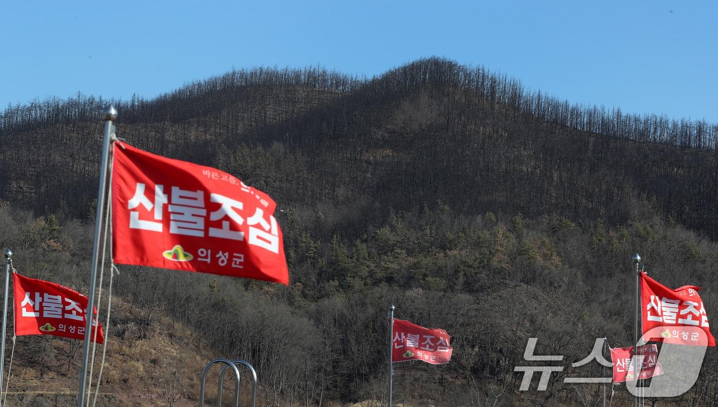 본문 이미지 - 산불조심  (자료사진)  2026.1.29 ⓒ 뉴스1 공정식 기자