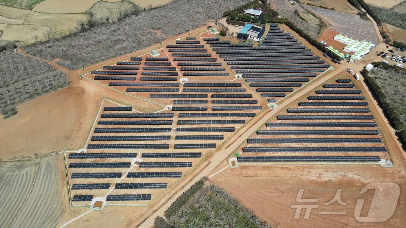 본문 이미지 - 국내 최대 매실농원인 전남 해남 보해매실농원에서 진행 중인 태양광 발전 시설 공사.(시공사 제공, 재배포 및 DB 금지)2026.1.29/뉴스1