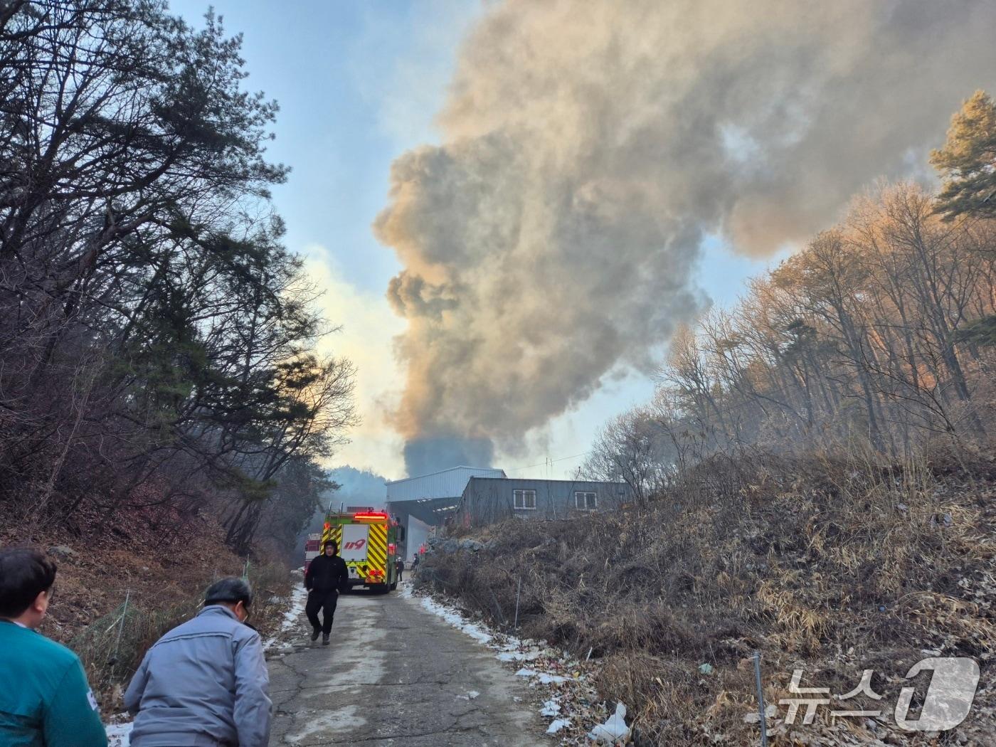 본문 이미지 - 단양군 매포읍 폐기물 업체에서 불이나 인근 야산으로 번진 산불이 진화됐다.(단양군 제공. 재판매 및 DB금지)/뉴스1 