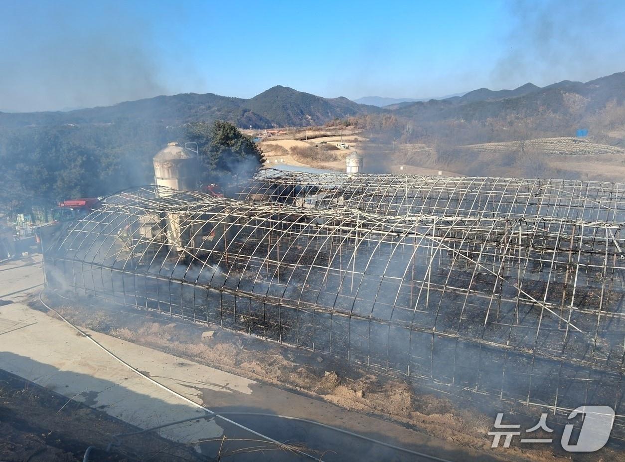 본문 이미지 - 2일 낮 11시 5분쯤 경북 예천군 풍양면의 한 양계장에서 원인을 알 수 없는 불이 나 2시간 20여분 만에 꺼졌다. (경북소방본부 제공. 재판매 및 DB 금지)/뉴스1