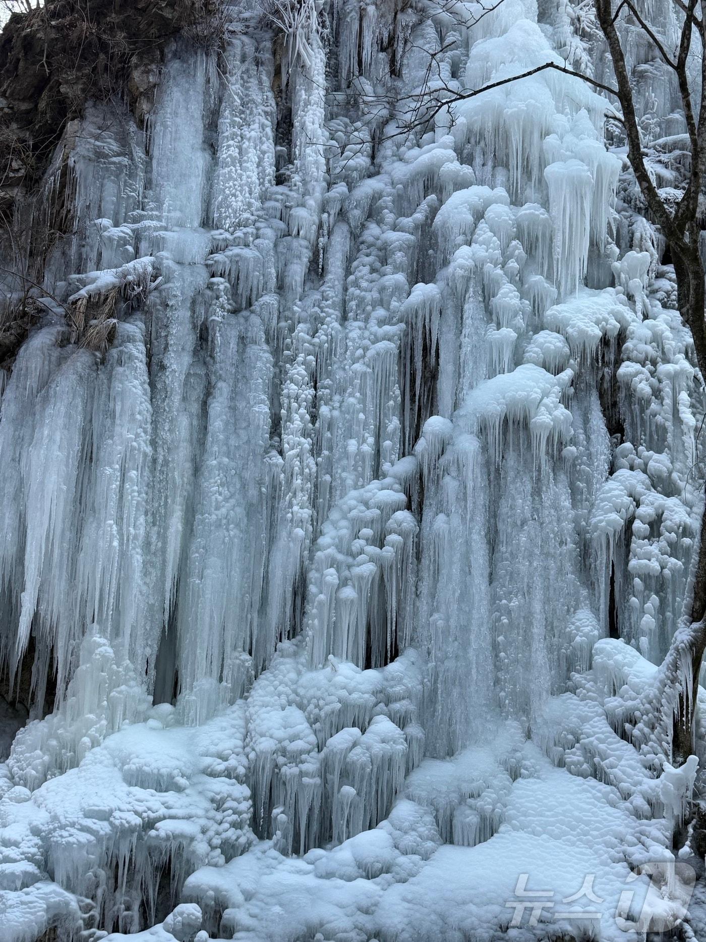 본문 이미지 - 강원 춘천 남산면 구곡폭포 대형 고드름.(뉴스1 DB)ⓒ News1 한귀섭 기자