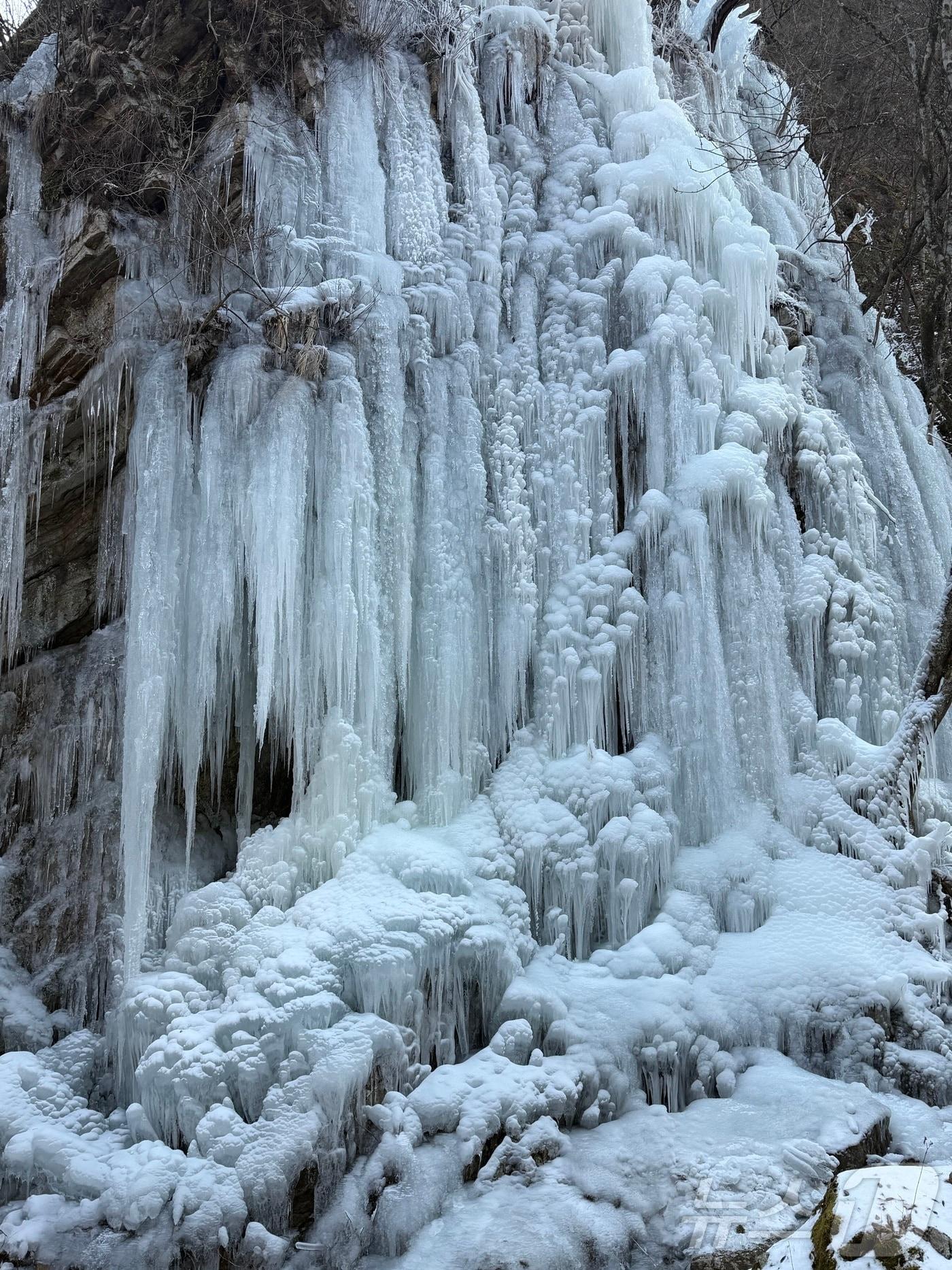 본문 이미지 -  3일 강원 춘천 남산면 구곡폭포를 가기 전 한 바위에 대형고드름이 맺혀 있다. 2026.1.3. /뉴스1 ⓒNews1 한귀섭 기자