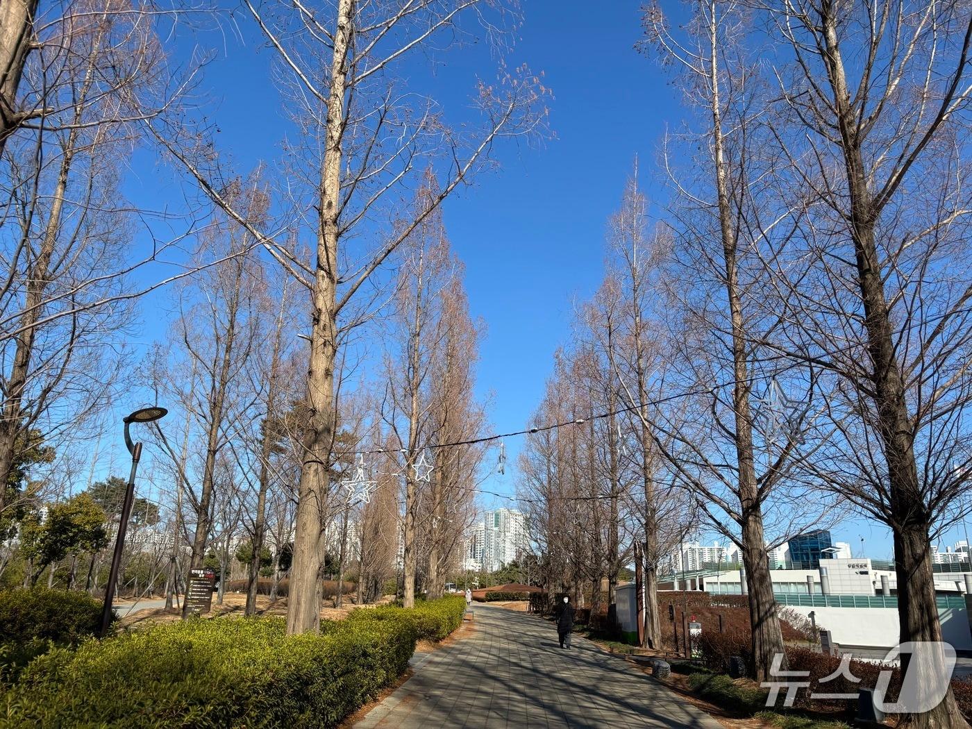본문 이미지 - 비교적 한산한 새해 첫 주말 부산시민공원 모습 2026.1.3/뉴스1 ⓒ News1 홍윤 기자