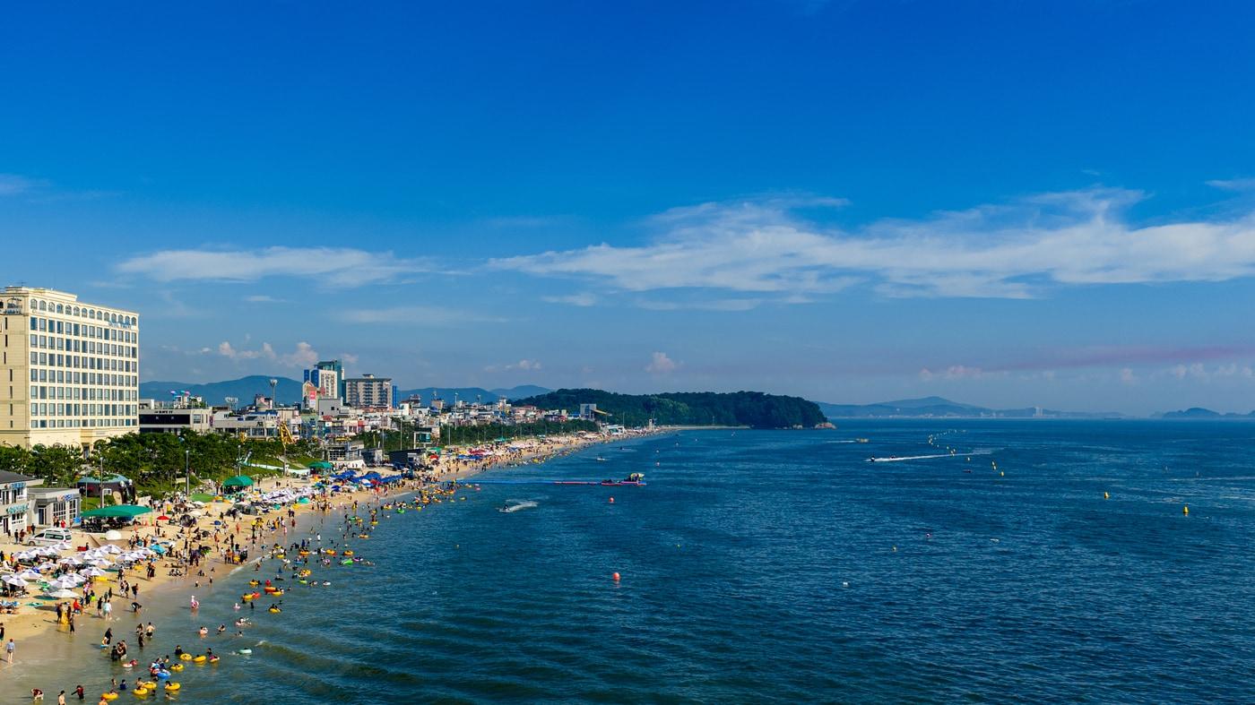 본문 이미지 - 대천해수욕장 전경.(보령시 제공. 재판매 및 DB금지)/뉴스1