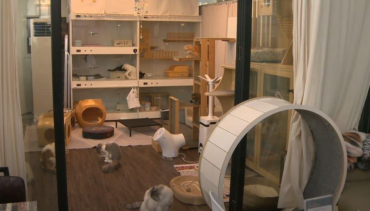 본문 이미지 - 우리동네 펫위탁소 위탁보호(성동구 제공)