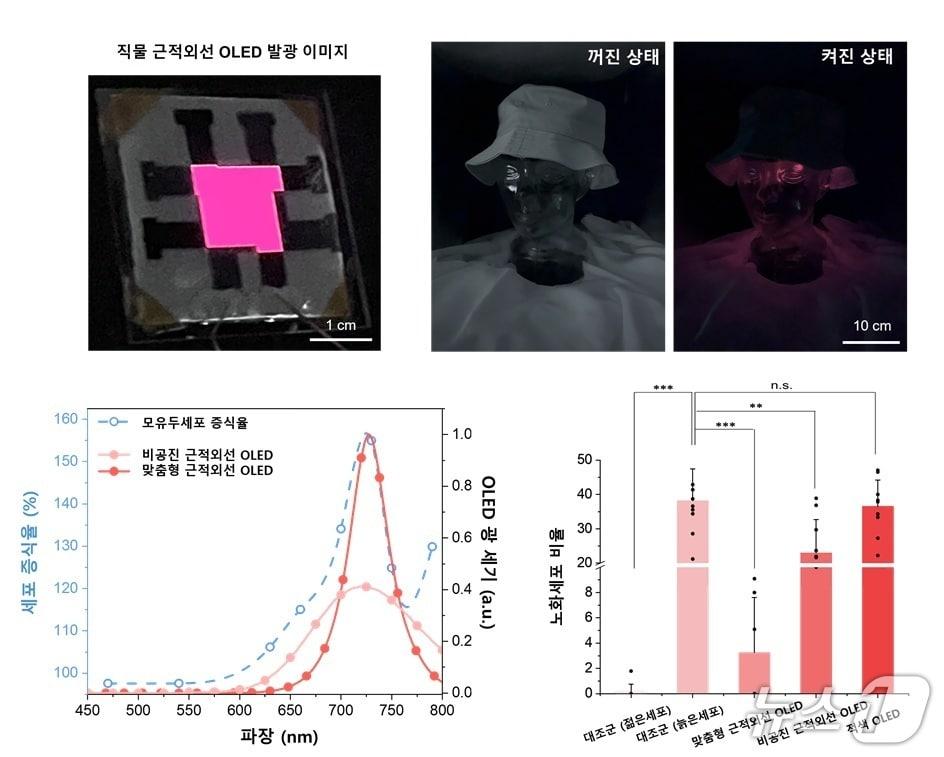 본문 이미지 - 직물 기반 근적외선 OLED의 프로토타입 및 광치료 효능(KAIST 제공) /뉴스1