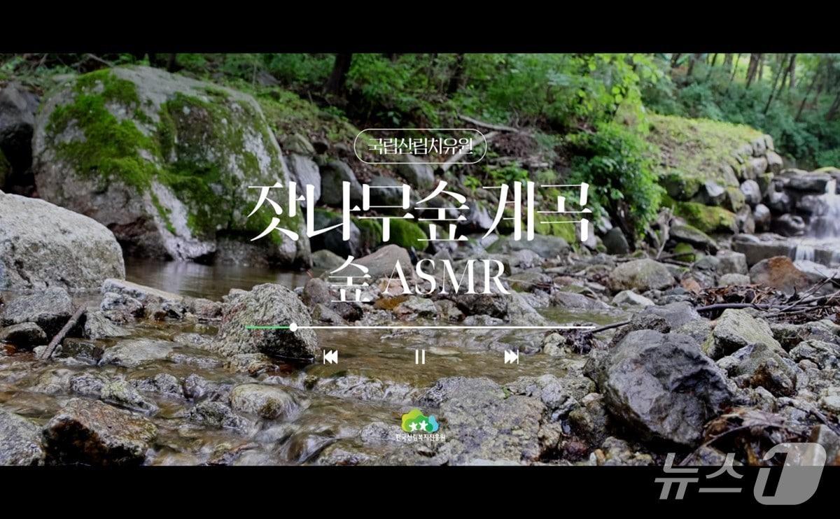 본문 이미지 - 한국산림복지진흥원 국립산림복지시설 ‘숲 ASMR’ 소리 (산림청 한국산림복지진흥원 제공.재판매 및 DB 금지)/뉴스1