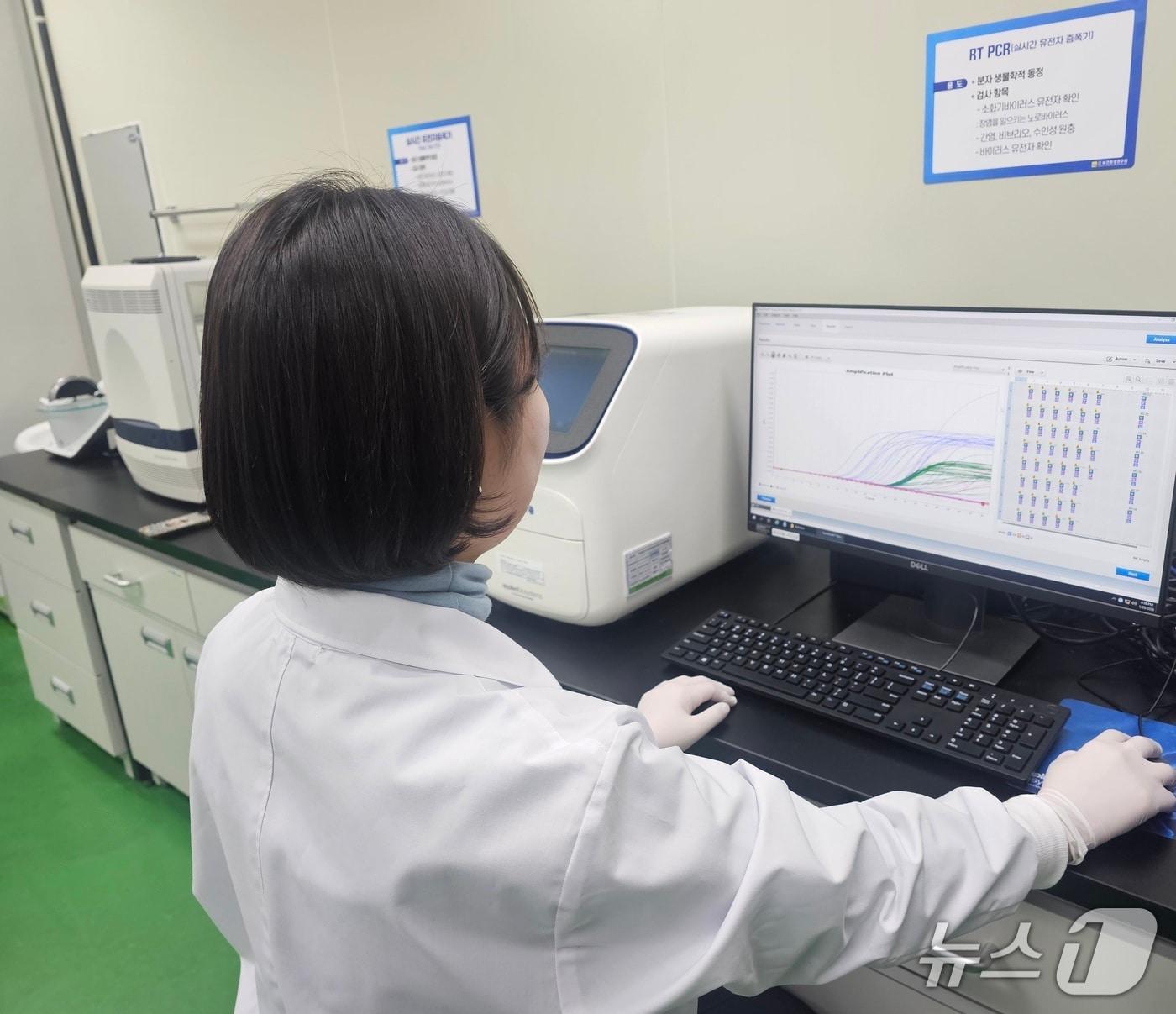 본문 이미지 - 노로바이러스 검사.(전남도 제공. 재판매 및 DB금지) 2026.1.31/뉴스1