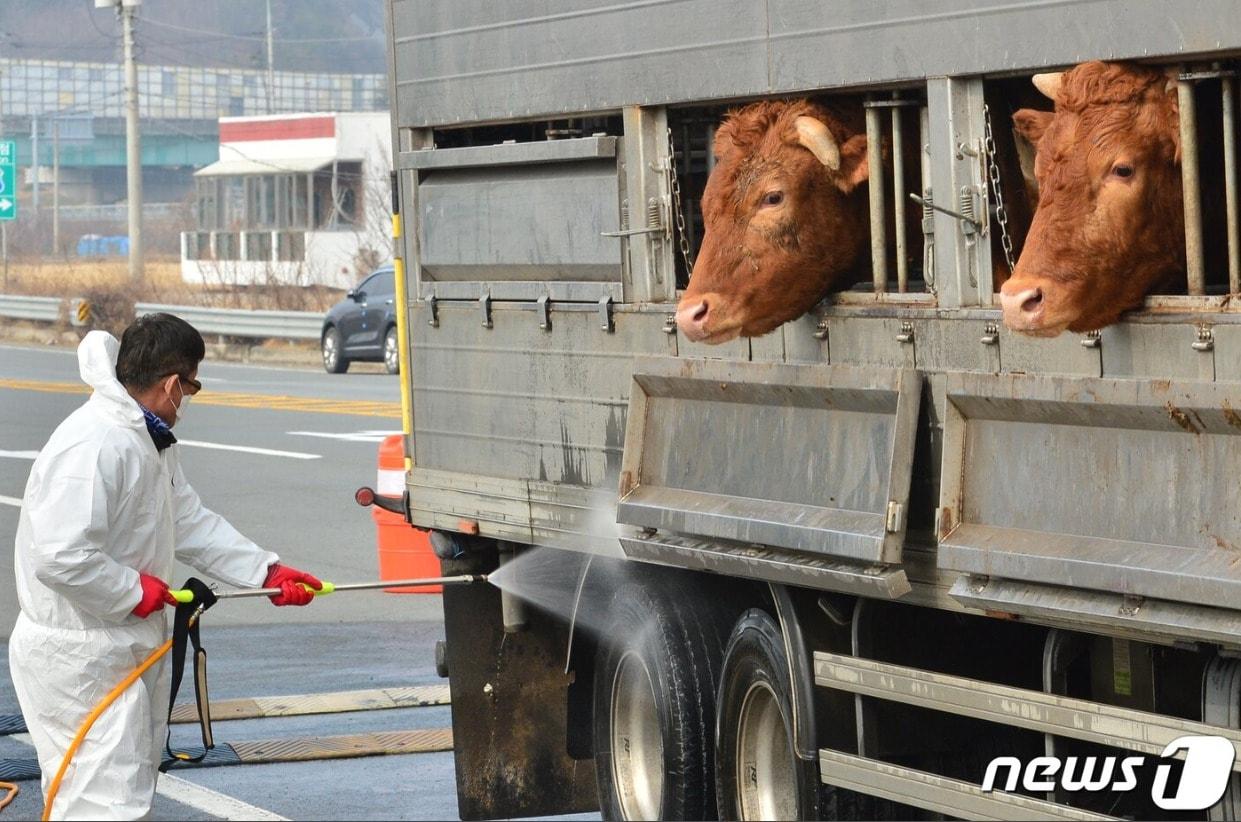 본문 이미지 - 뉴스1 DB. 2019.2.7/뉴스1 ⓒ News1 최창호 기자