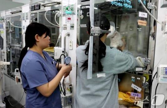 본문 이미지 - 동물병원 내부(경기동물의료원 제공) ⓒ 뉴스1