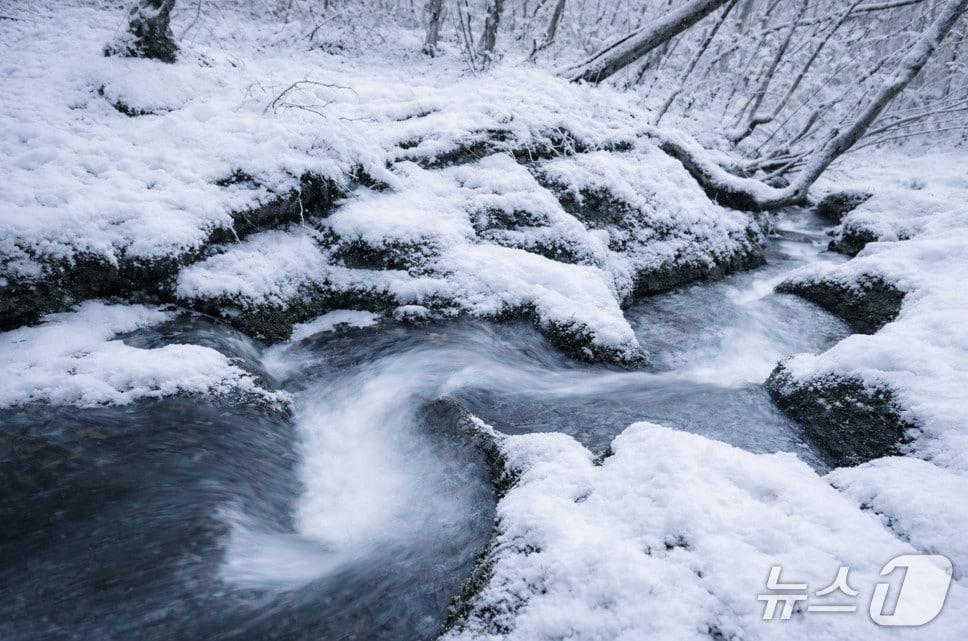 본문 이미지 - 태백 검룡소 자료사진.(강원도 제공, 재판매 및 DB 금지) 2026.1.4/뉴스1