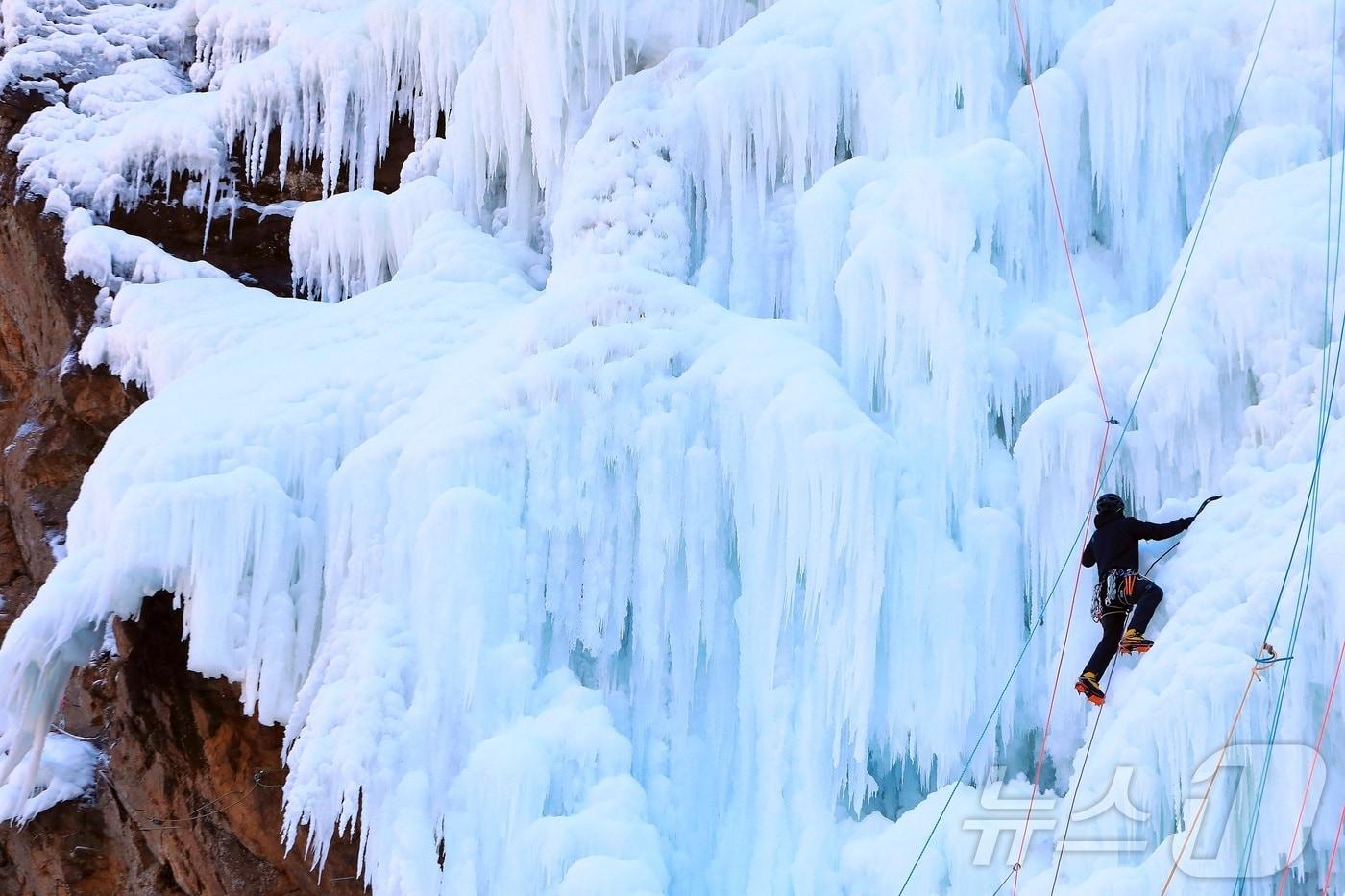 강원 인제 북면 용대리 매바위 인공폭포가 최근 추워진 날씨로 거대한 빙벽이 만들어진 가운데 4일 전국의 빙벽등반 동호회와 전문가들이 빙벽을 오르고 있다.(인제군 제공, 재판매 및 DB금지) 2026.1.4/뉴스1 ⓒ News1 한귀섭 기자