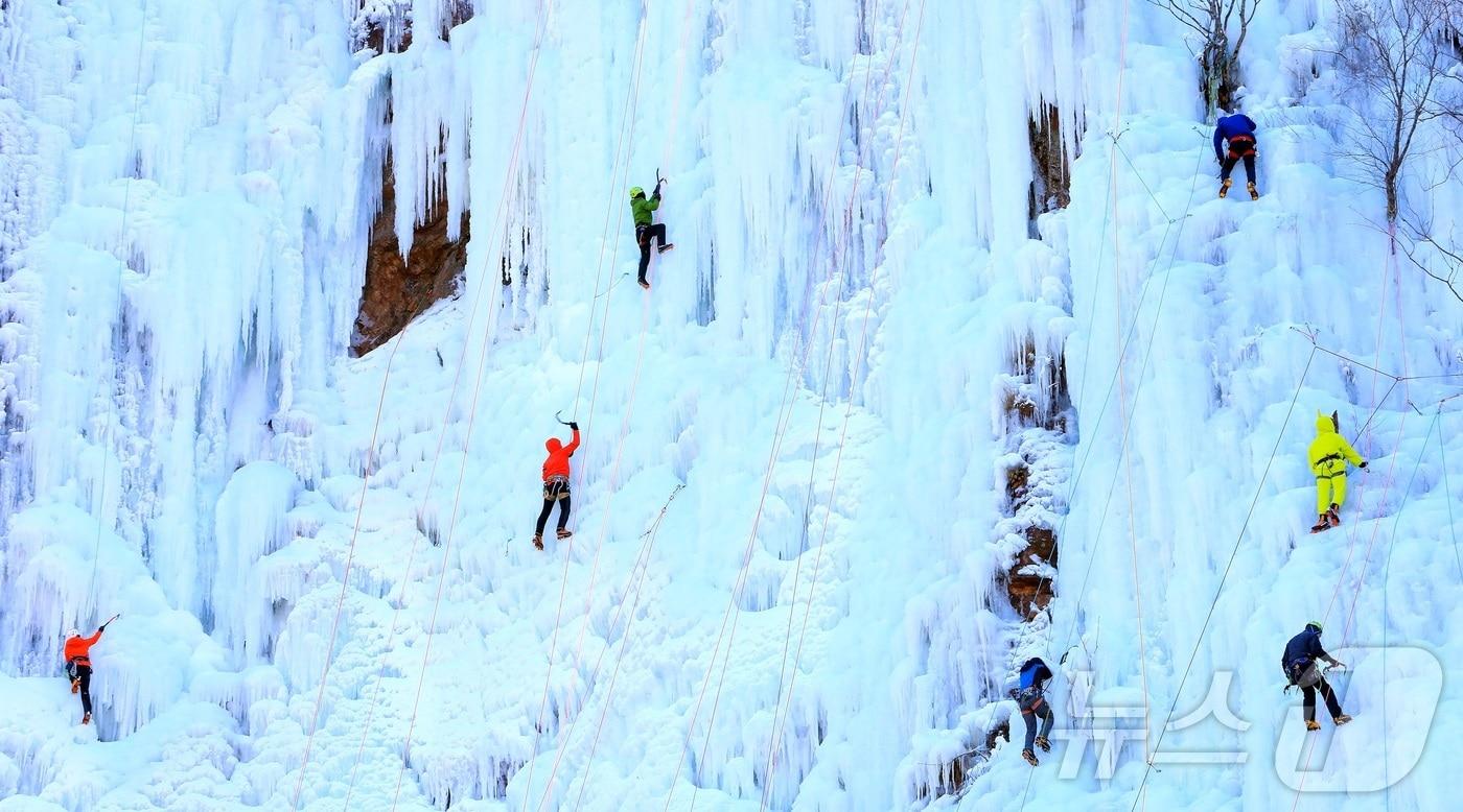 강원 인제 북면 용대리 매바위 인공폭포가 최근 추워진 날씨로 거대한 빙벽이 만들어진 가운데 4일 전국의 빙벽등반 동호회와 전문가들이 빙벽을 오르고 있다.(인제군 제공, 재판매 및 DB금지) 2026.1.4/뉴스1 ⓒ News1 한귀섭 기자
