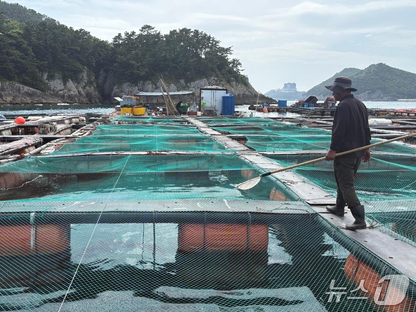 본문 이미지 - 경남 남해군 미조면 조피볼락 가두리양식장