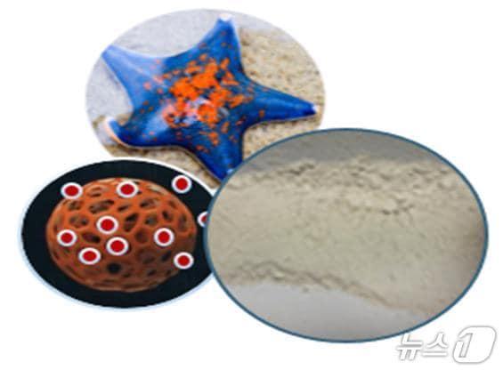 본문 이미지 - 극피동물 유래 가공제(탄산칼슘) 기반 기능성 섬유소재 제조기술(해양수산부 제공)