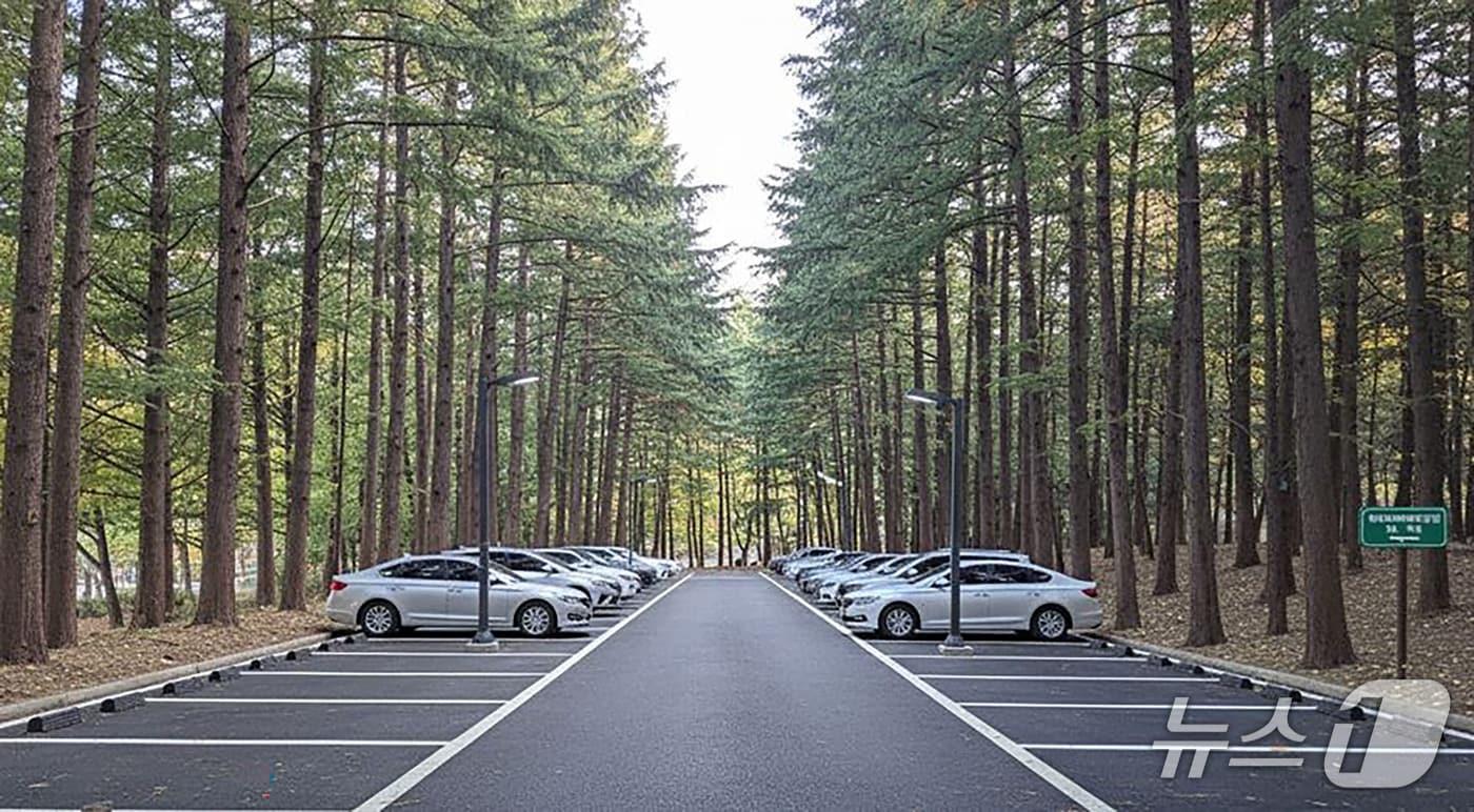 경기 성남시가 하이테크밸리 근린공원에 조성하는 지평식 주차장(AI 생성 이미지). /뉴스1