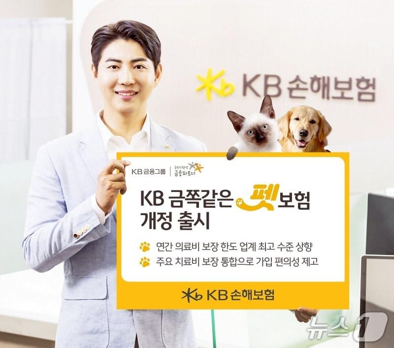 본문 이미지 - KB손해보험, 의료비 보장 확대한 KB 금쪽같은 펫보험 개정 출시/사진제공= KB손해보험