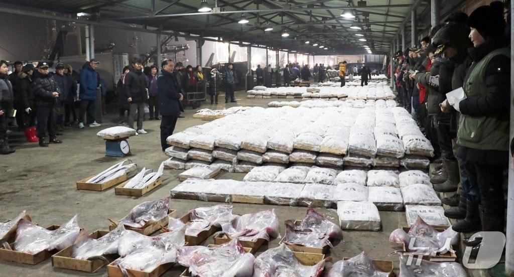 본문 이미지 - 군산수협 해망동 위판장.(군산수협 제공, 재판매 및 DB금지)