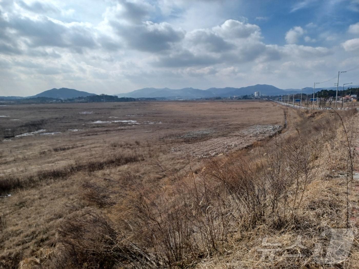 본문 이미지 - 전남 함평 빛그린국가산단 내 금호타이어 함평공장 부지.