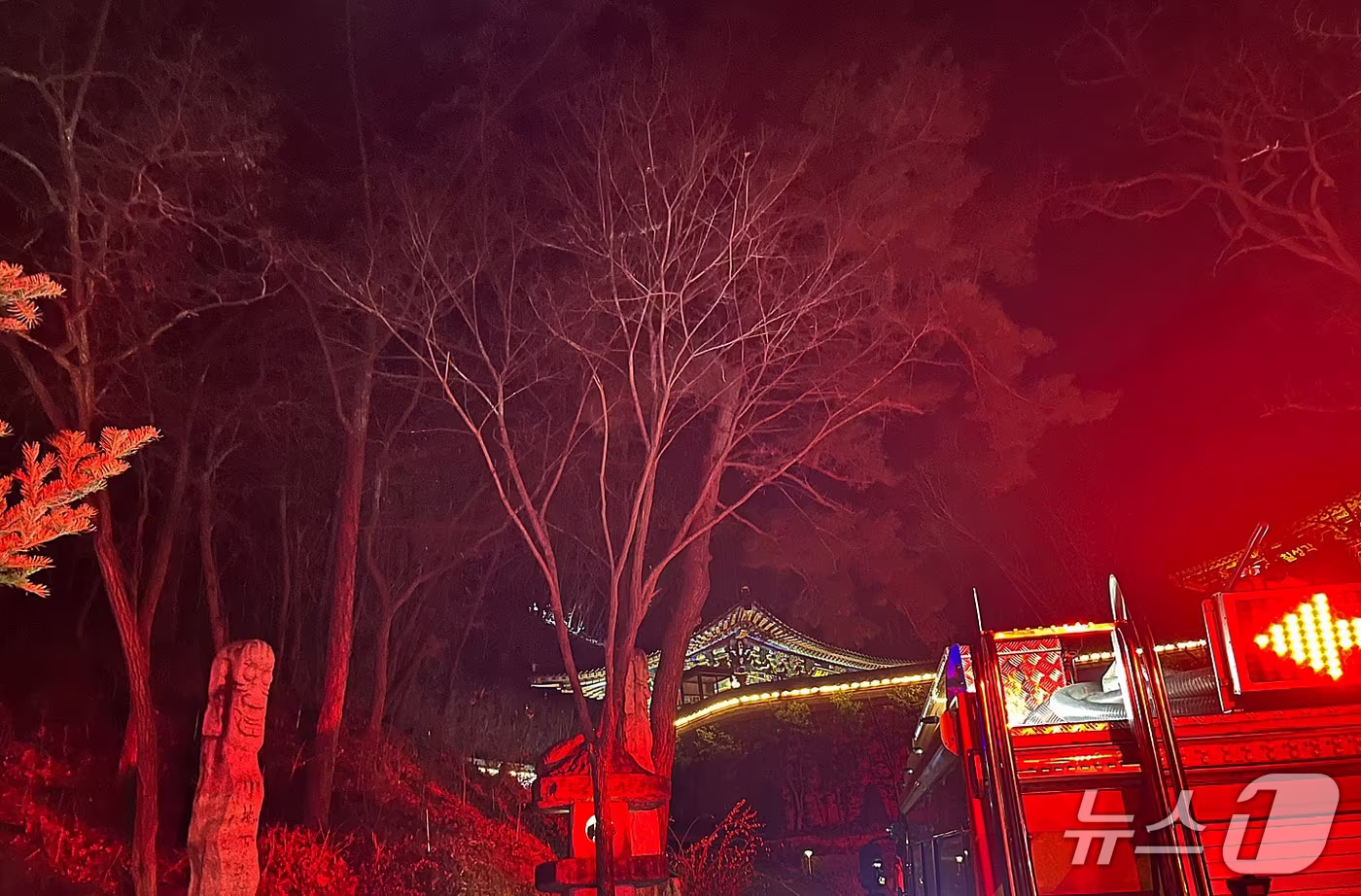 지난 5일 오후 6시30분쯤 대구 동구 도림사 인근 산에 불이 나 소방 당국이 진화하고 있다. (대구소방본부 제공. 재판매 및 DB 금지)