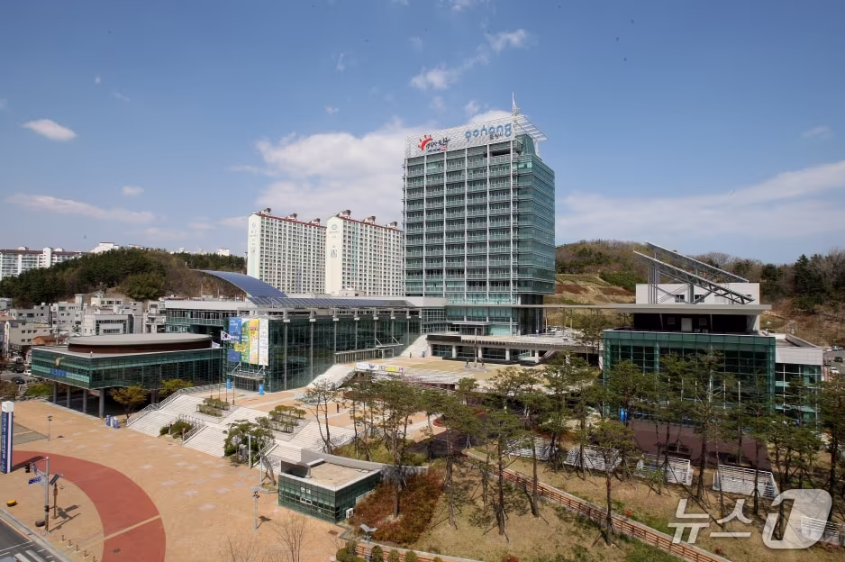 본문 이미지 - 경북 포항시청사, (뉴스1 자료, 재판매 및 DB금지)  