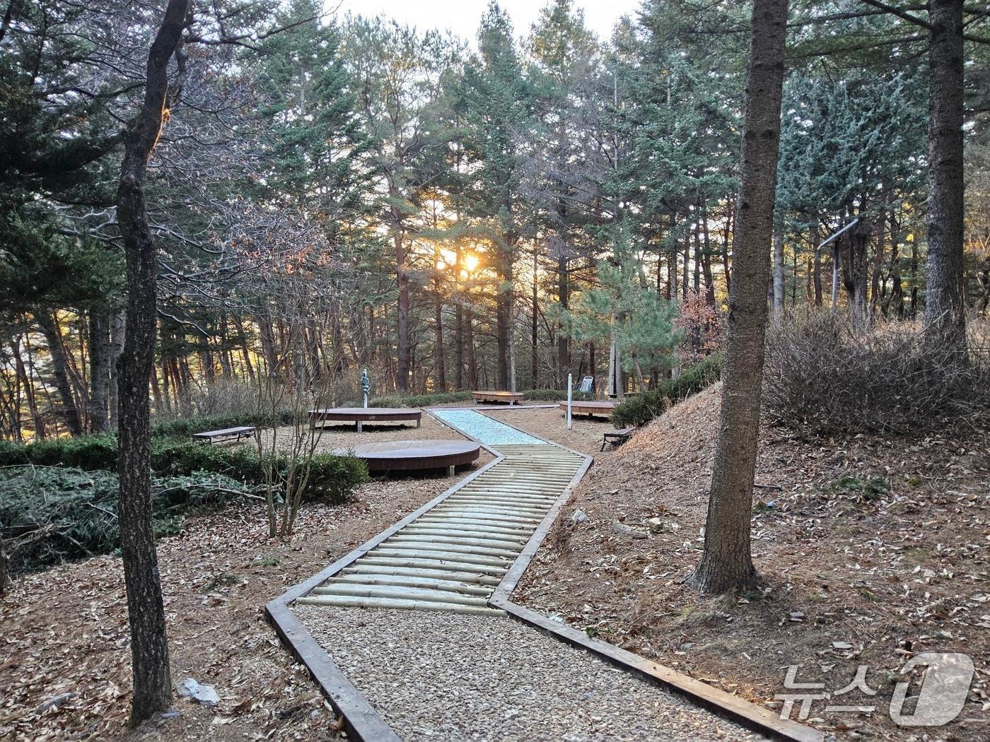 본문 이미지 - 강원 정선군 비봉산 산림공원. (정선군 제공. 재판매 및 DB금지) 2026.1.6/뉴스1
