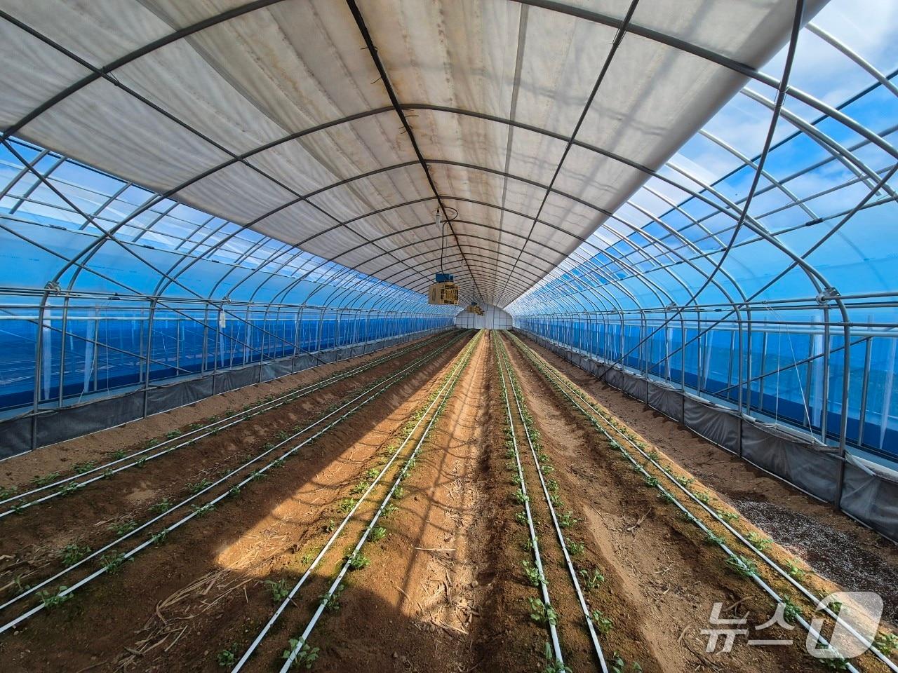 본문 이미지 - 봉화군의 가업 승계 받은 농가(봉화군 제공. 재판매 및 DB 금지)2026.1.7/뉴스1