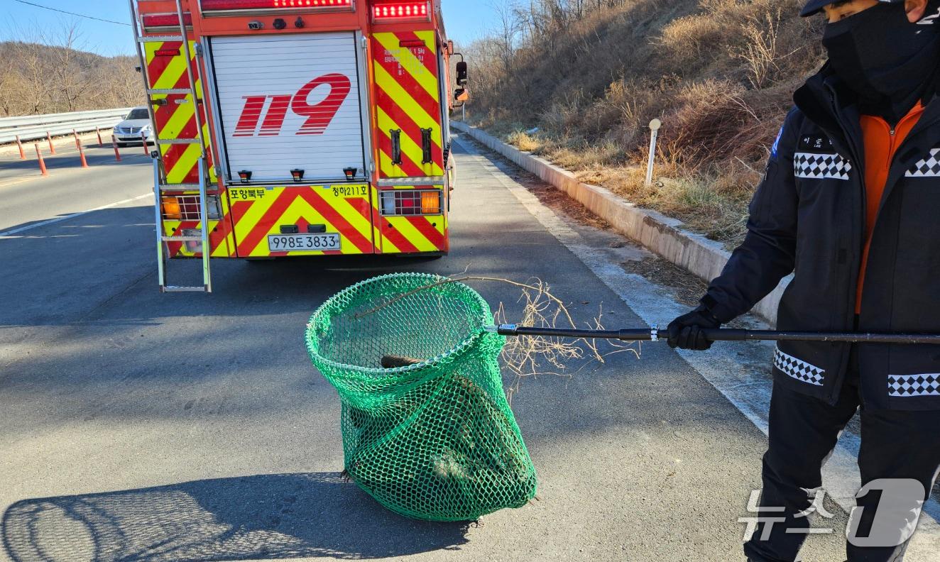 본문 이미지 - 지난 6일 경북 포항시 북구 신광면 호리못 인근 도로에서 날개를 다친 독수리 1마리가 119에 구조됐다. (포항북부소방서 제공, 재판매 및 DB금지) 2026.1.7/뉴스1  