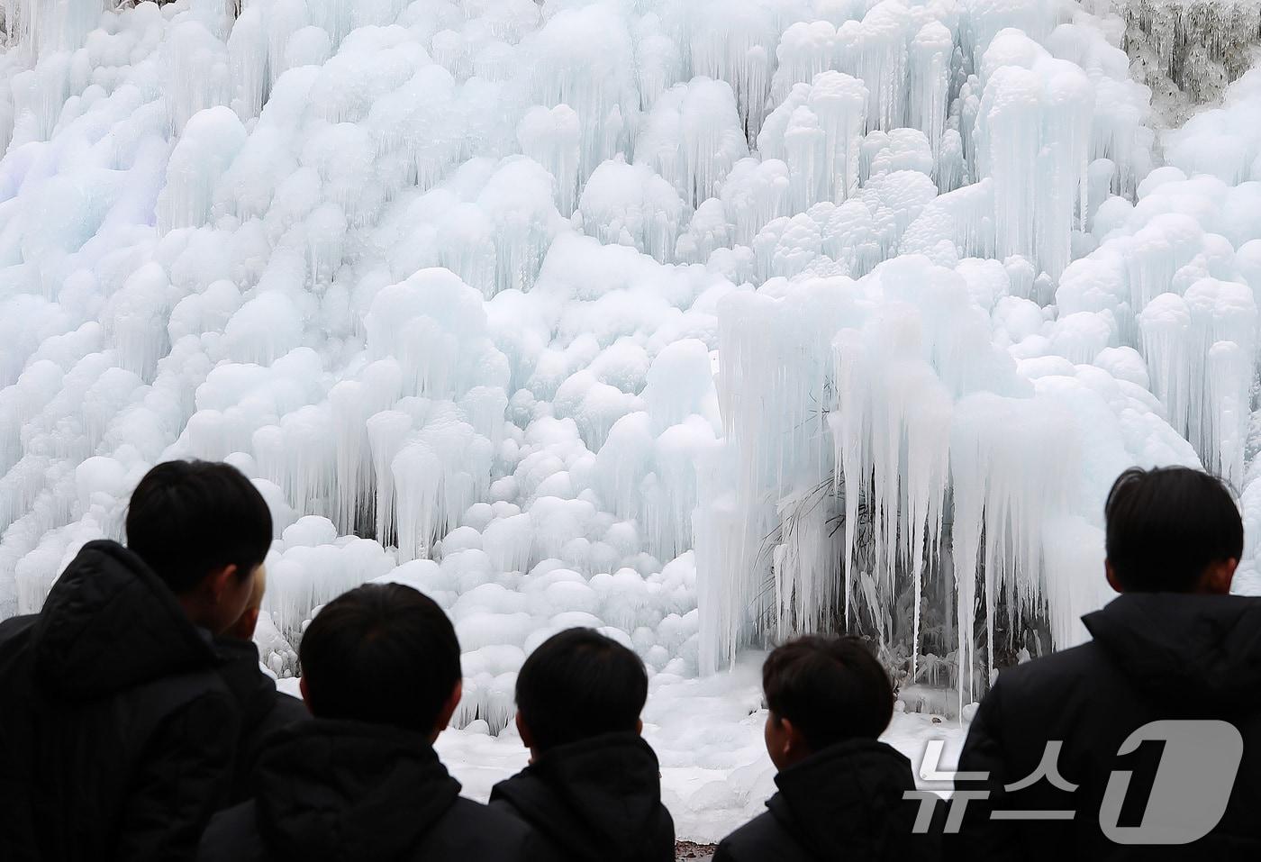 7일 오후 대구 달성군 유가읍 비슬산자연휴양림 얼음동산에 꽁꽁 언 빙벽이 장관을 이루고 있다. 2026.1.7/뉴스1 ⓒ News1 공정식 기자