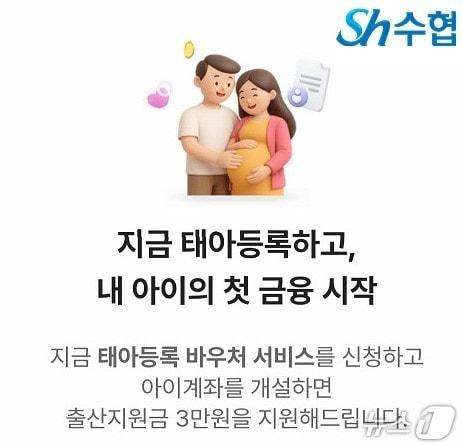 본문 이미지 - (수협중앙회 제공)