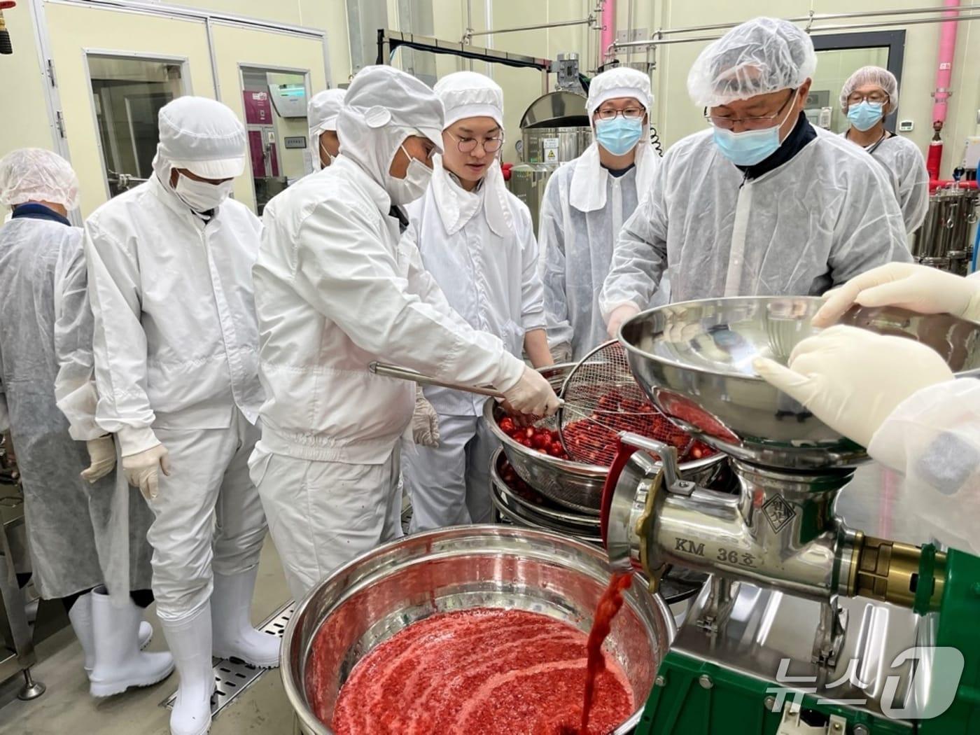 본문 이미지 - 충북 진천 농산물 가공지원관 실습 모습.(진천군 제공, 재판매 및 DB금지)/뉴스1