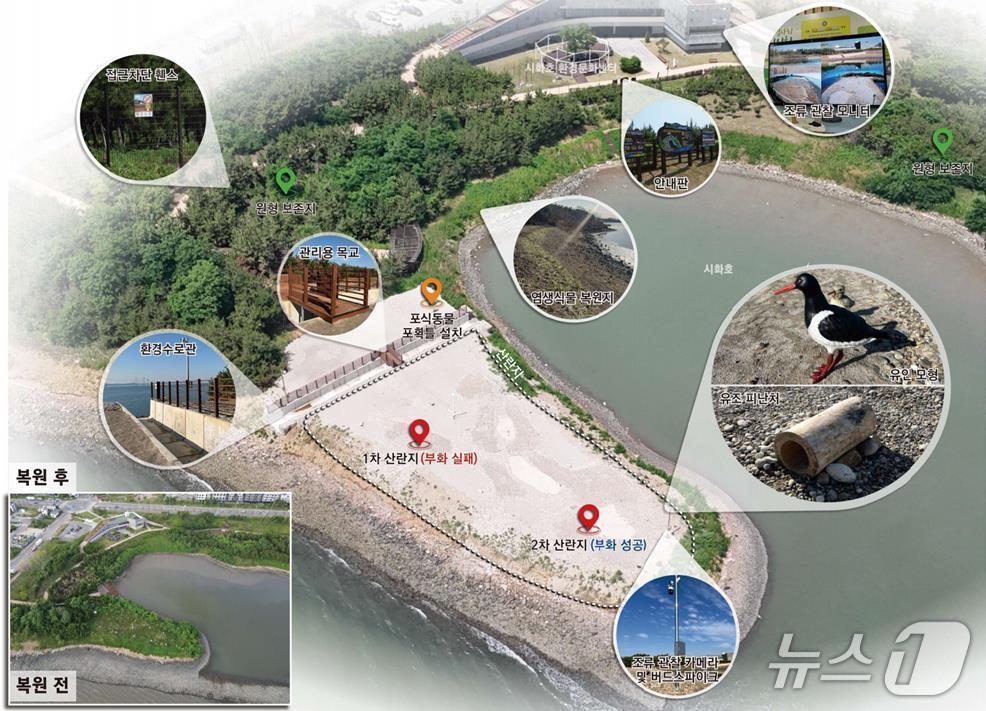 본문 이미지 - 철새 서식처 조성사업.(시흥시 제공)