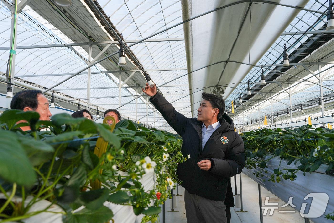 김진태 강원도지사가 7일 양구의 한 시설원예 농가를 찾아 한파 대비 상황을 점검했다.(강원도 제공, 재판매 및 DB금지)