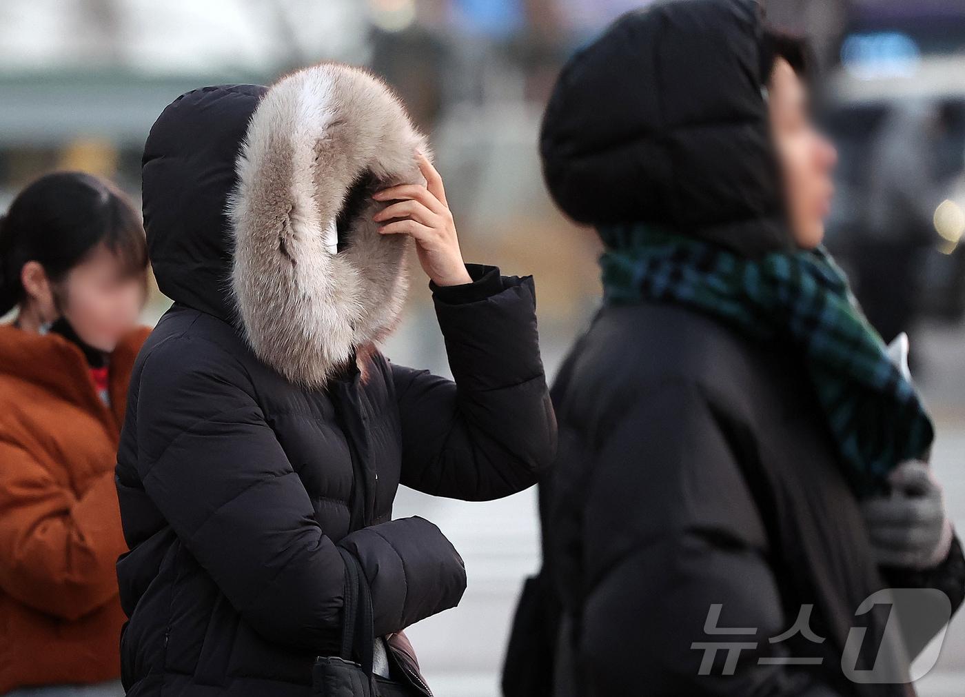 본문 이미지 - 자료사진./뉴스1