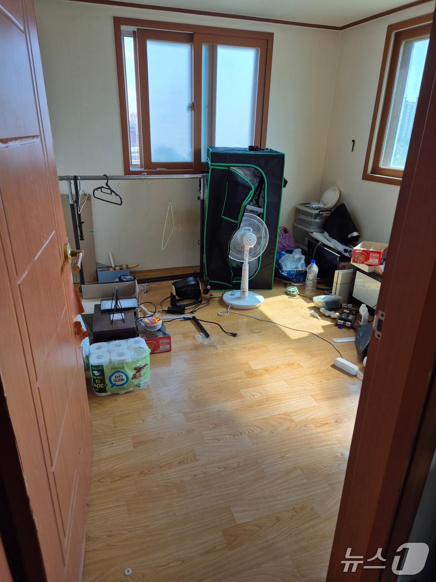 본문 이미지 - 대마초를 재배하고 있던 방 안.(인천공항세관. 재배포 및 DB금지)2026.1.8/뉴스1