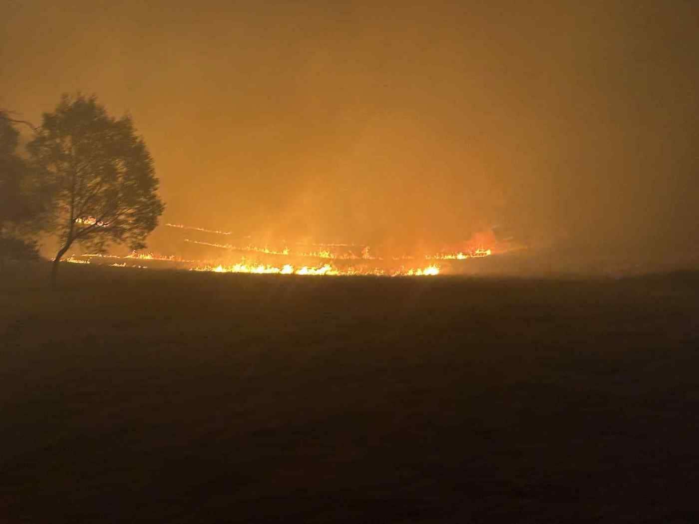 본문 이미지 - (출처=호주 지역소방대 'Little Yarra CFA' 페이스북 계정)