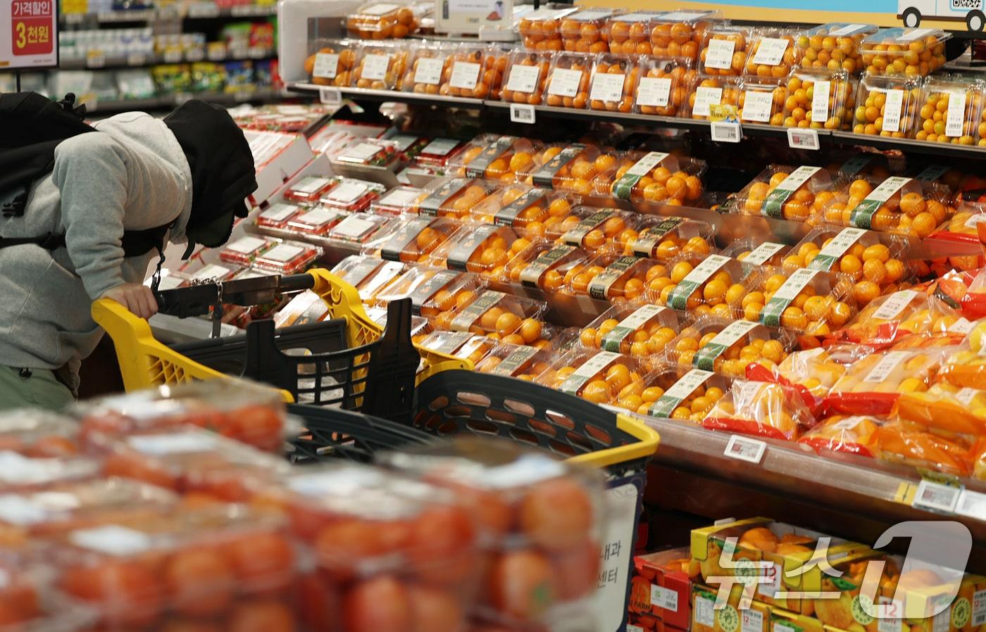 서울시내의 한 대형마트 과일코너에서 고객이 장을 보는 모습. 2026.1.8/뉴스1 ⓒ News1 오대일 기자