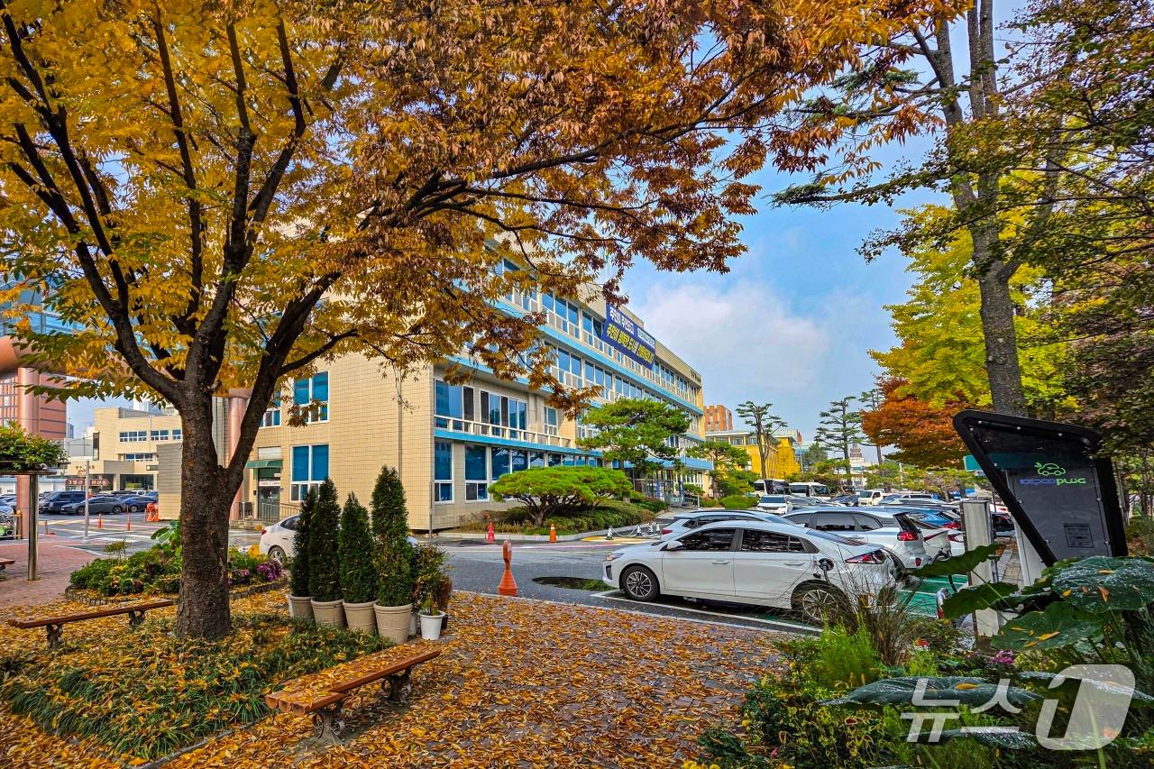 본문 이미지 - 대전 중구청사./뉴스1