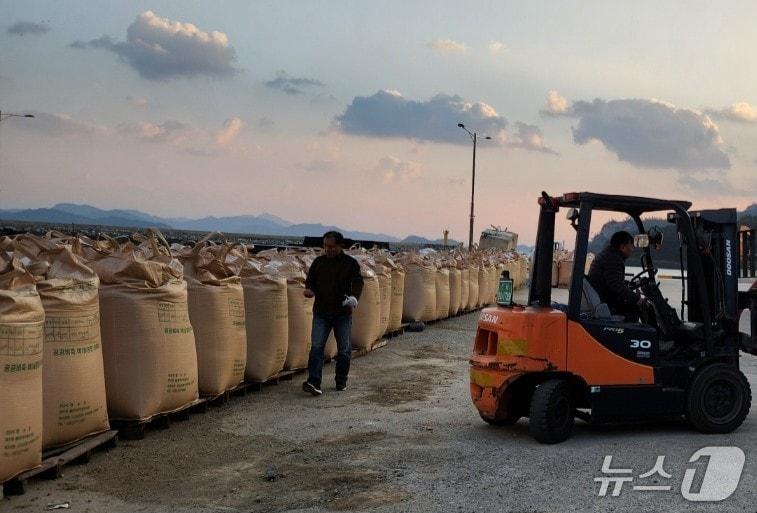 본문 이미지 - 진도군의 공공비축미 매입 장면(진도군 제공, 재판매 및 DB 금지)/뉴스1 