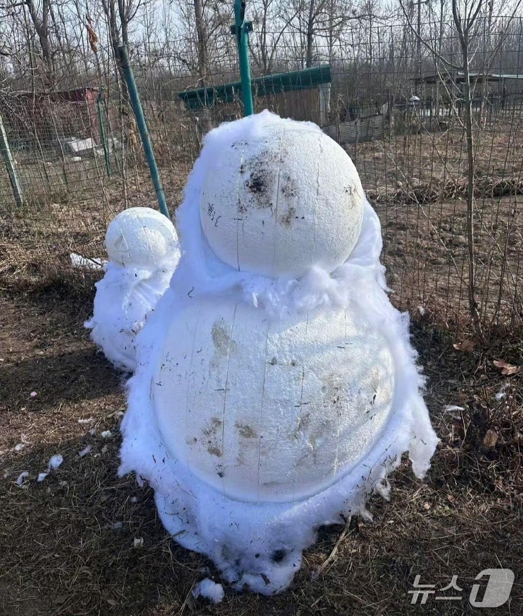 본문 이미지 - 정저우시 후이지구의 한 농장에 설치된 '몽환설향' 모습. (웨이보 갈무리)