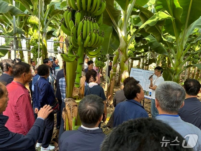 본문 이미지 - 경북 포항시는 농촌지도 기술보급 시범 사업을 본격 추진한다. (포항시 제공, 재판매 및 DB금지)2026.1.8/뉴스1 