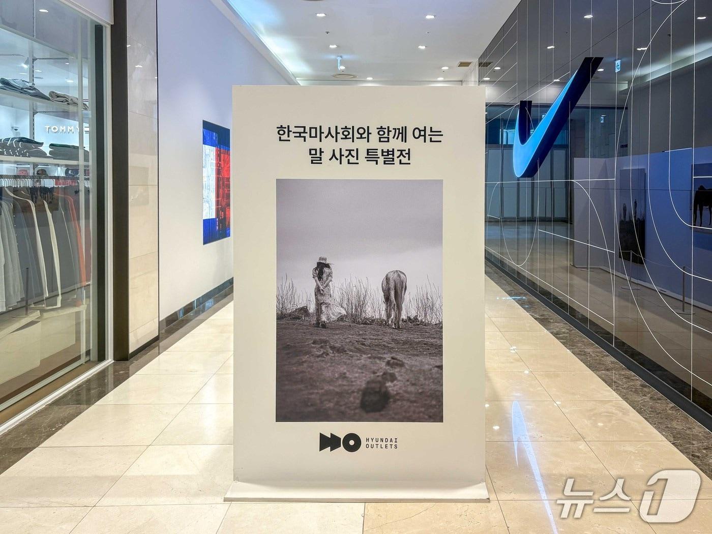 본문 이미지 - 말 사진 특별전 (한국마사회 제공)