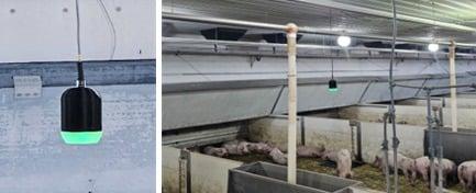 본문 이미지 - 농림식품 신기술(농기평 제공) ⓒ 뉴스1