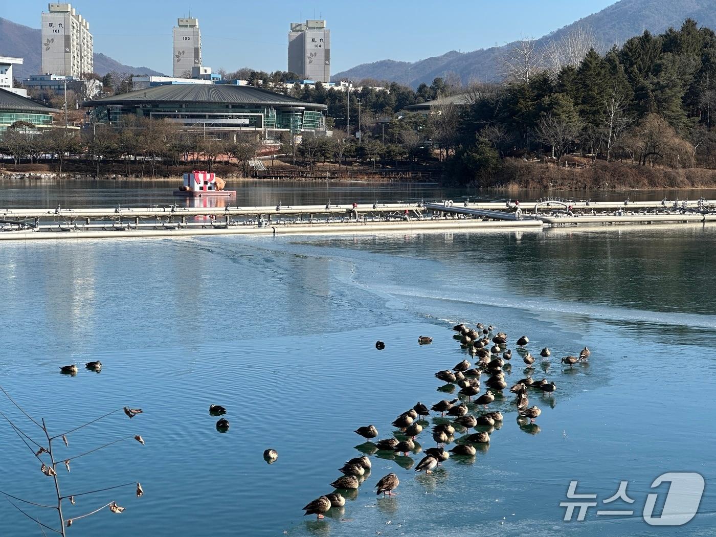본문 이미지 -  충주 호암지 겨울 풍경./뉴스1