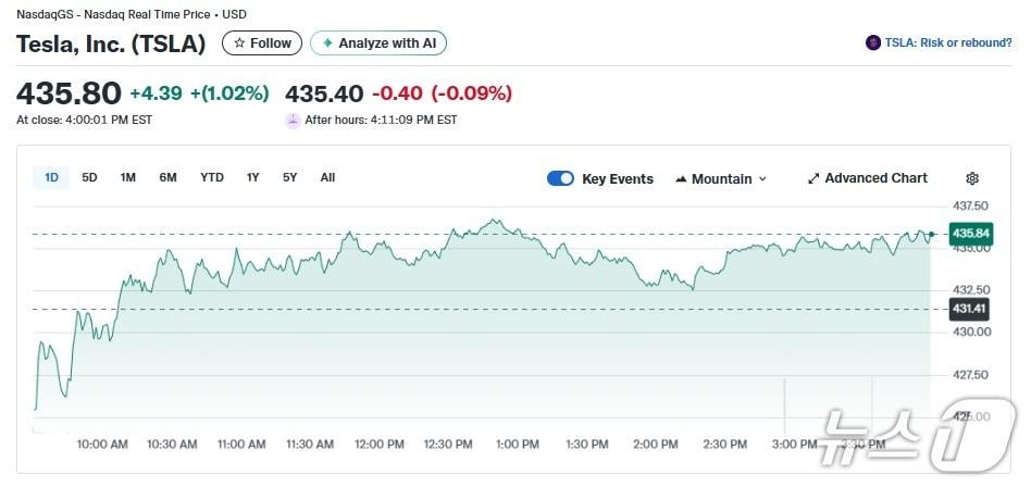 본문 이미지 - 테슬라 일일 주가추이 - 야후 파이낸스 갈무리