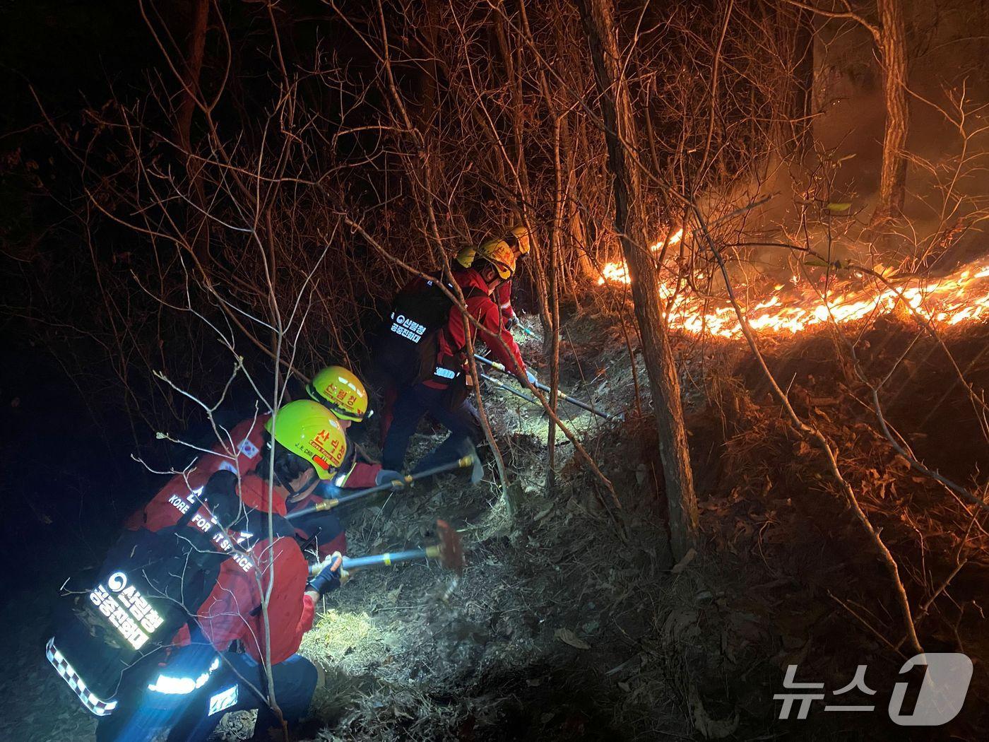 본문 이미지 - 산불진화 중인 산림청 공중진화대원(산림청 제공.재판매 및 DB금지)/뉴스1