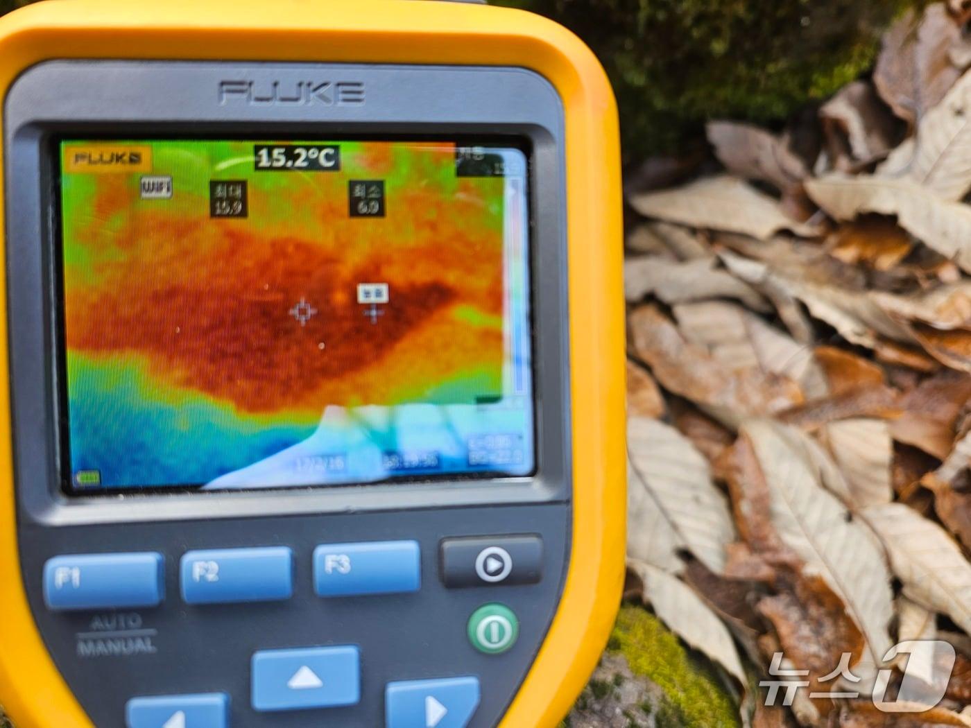 본문 이미지 - 의성 빙계계곡의 온혈지대 바닥 온도가 열화상 카메라에서 15.2도로 측정됐다. 당시 바깥 온도는 4도였다.(의성군 제공. 재판매 및 DB 금지)2026.1.9/뉴스1