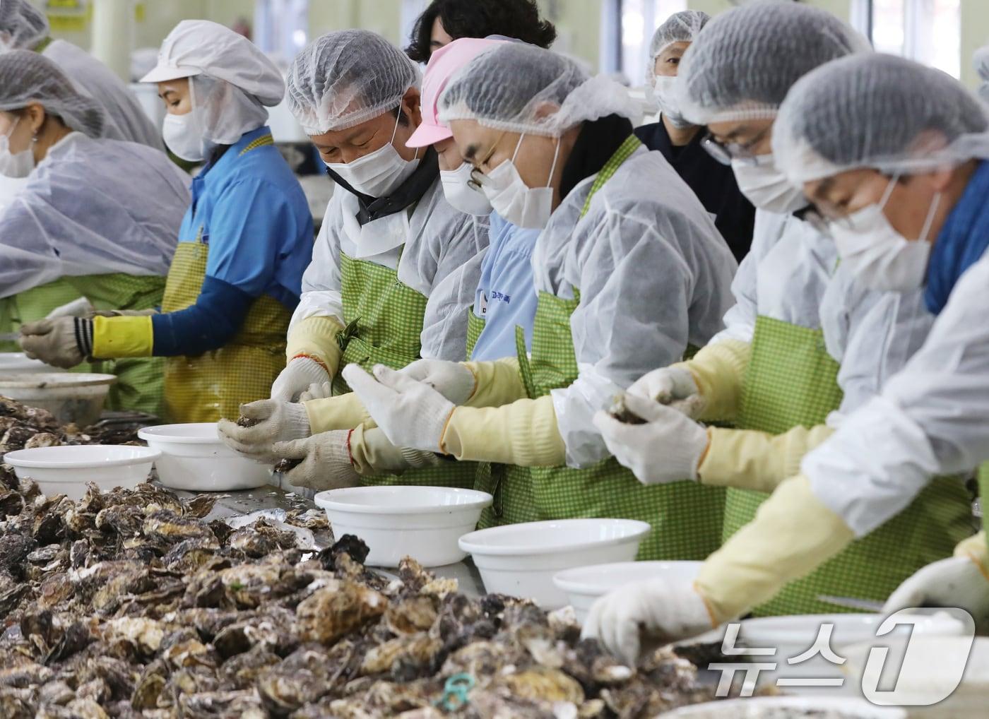 본문 이미지 - 정청래 더불어민주당 대표가 9일 오후 경남 거제 하청면 굴 가공업체인 대일수산을 방문해 굴 껍데기를 까는 작업인 박신작업을 하고 있다. 2026.1.9/뉴스1 ⓒ News1 윤일지 기자