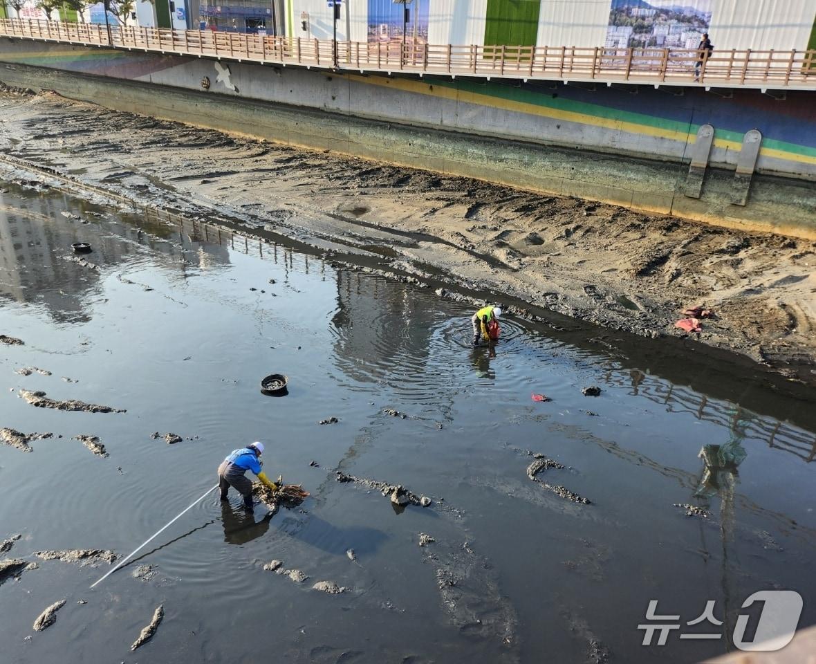 본문 이미지 - 숨쉬는 동천. 제공. 재판매 및 DB금지)